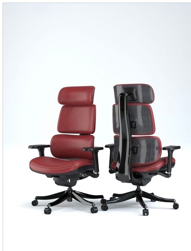 SC3350 - Burgundy